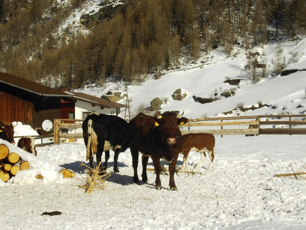 S'Jechlas Sölden Exterior foto